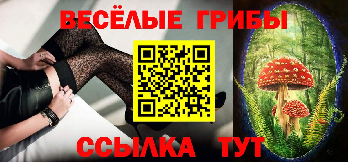 Псилоцибиновые грибы MAGIC MUSHROOMS  Галлюциногенные грибы мухоморы  Вход с VPN  Алатырь 