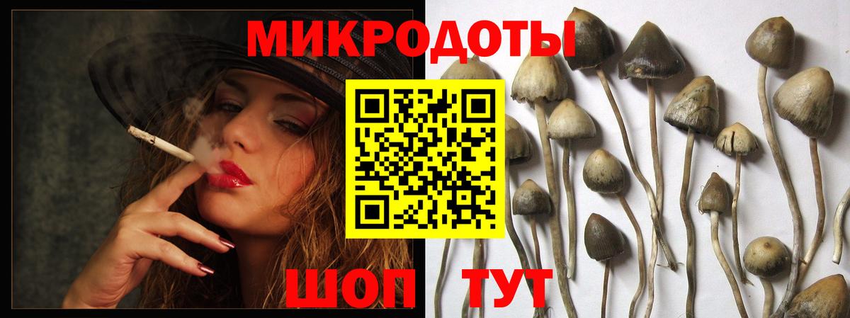 Галлюциногенные грибы прущие грибы Алатырь